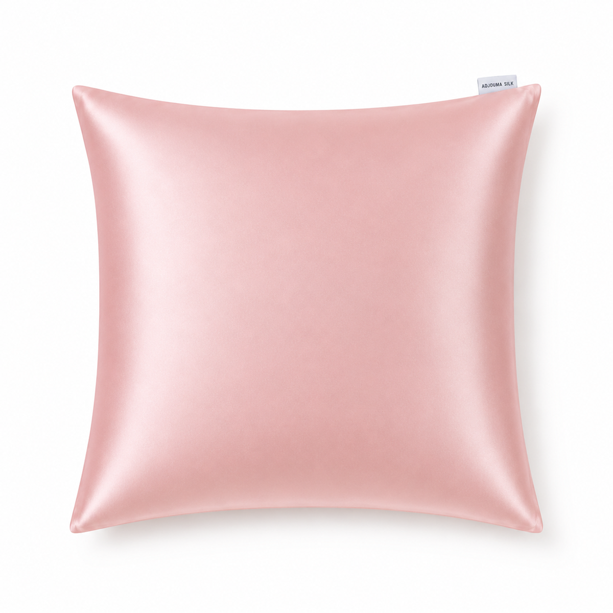 Taie d’oreiller en soie supplémentaire 65 × 65