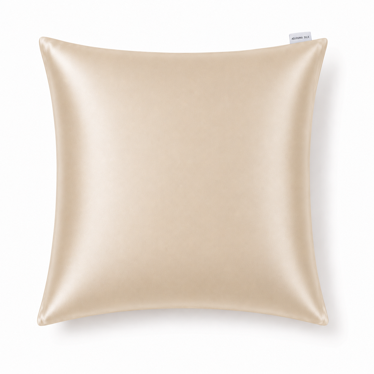 Taie d’oreiller en soie supplémentaire 65 × 65